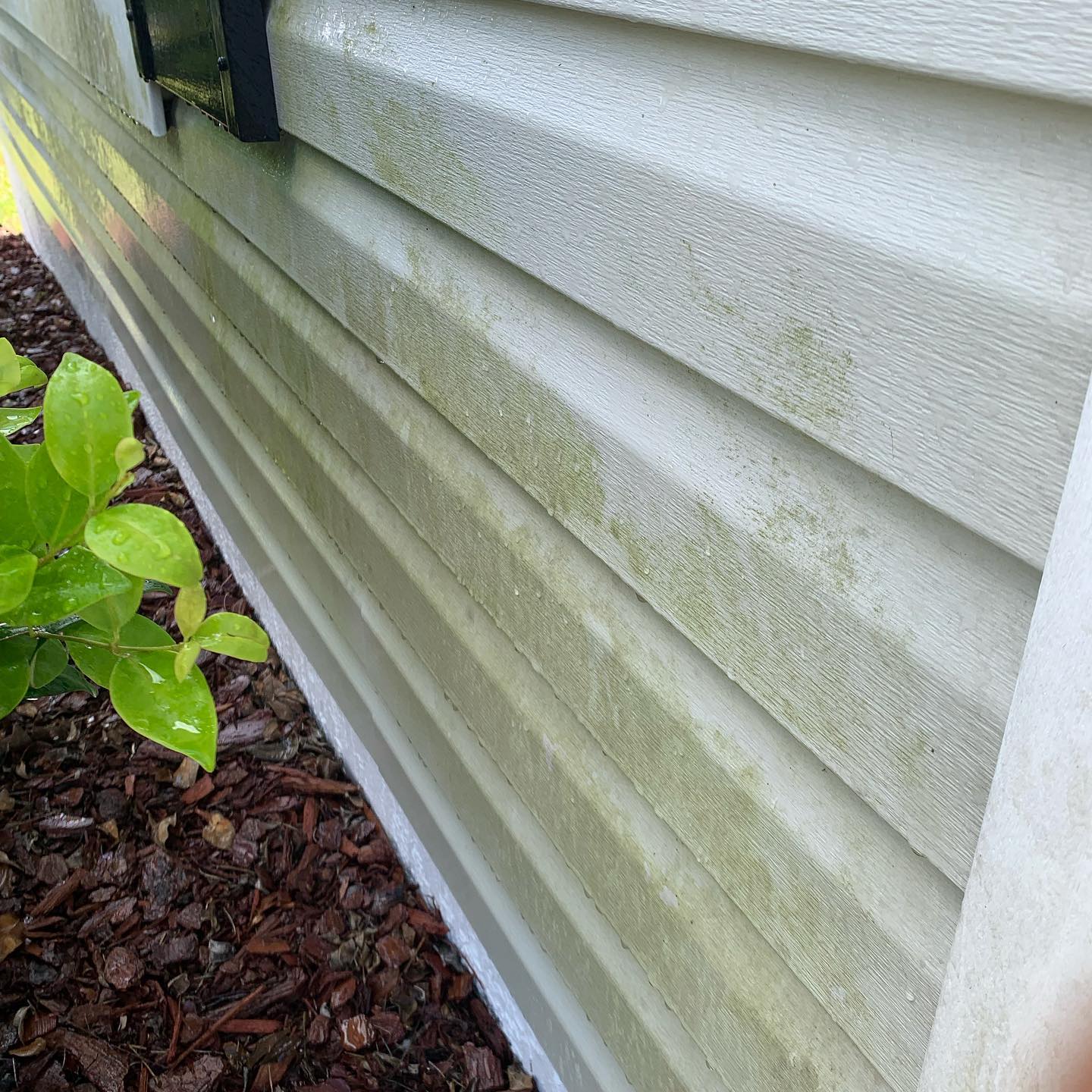 House Soft WashingPressure Washing Services In The Villages Floridalady lake FlroidaSummerfield FloridaWildwood FloridaLeesburg Florida